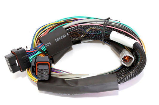 Elite 1500 Basic Universal Wire-in Harness  Length: 2.5m (8')